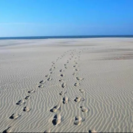 Sunlit Near Beach, Cleaning Included Nieuwpoort